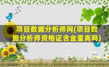 项目数据分析师网(项目数据分析师资格证含金量高吗)